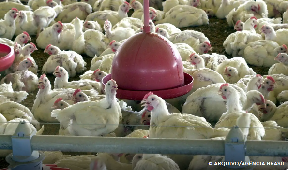 © Arquivo/Agência Brasil