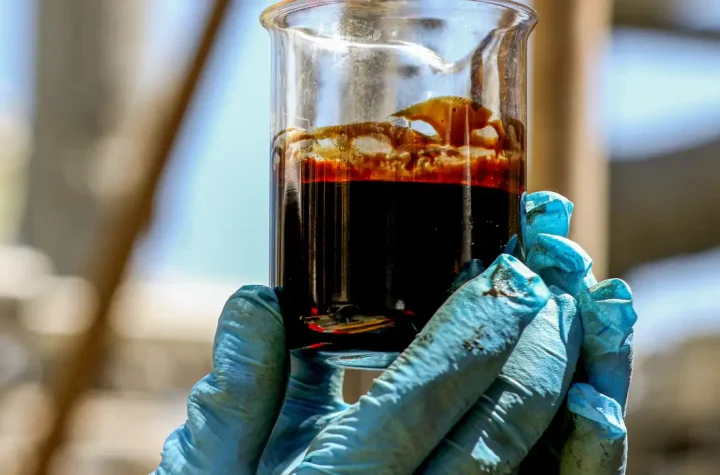 © Tânia Rêgo/Agência Brasil