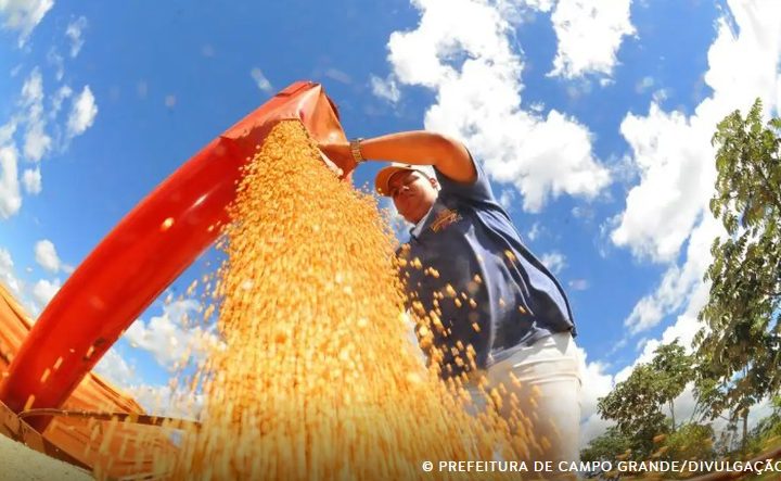 © Prefeitura de Campo Grande/Divulgação