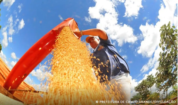 © Prefeitura de Campo Grande/Divulgação