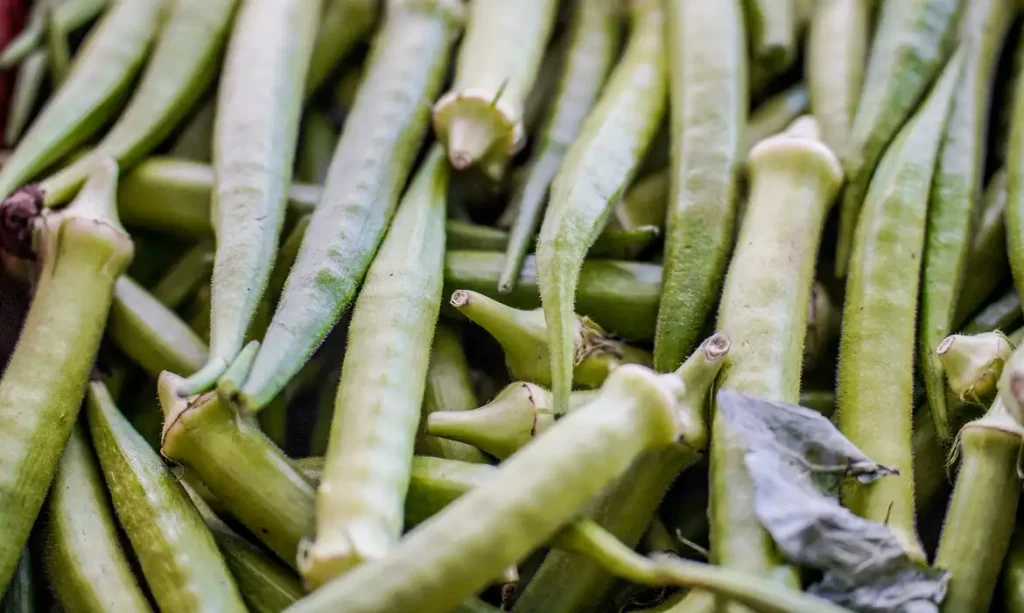 © Rafa Neddermeyer/Agência Brasil