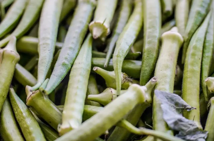 © Rafa Neddermeyer/Agência Brasil