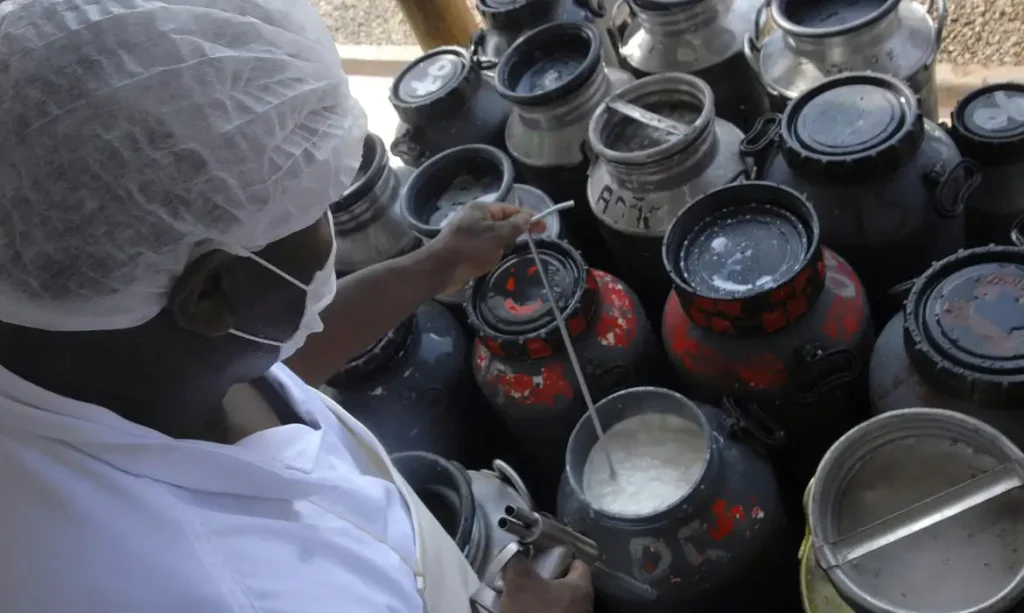 © Marcello Casal Jr/Agência Brasi